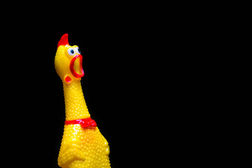 Chicken Scream Chalk Drawing on black background.