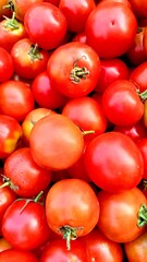 Tomato is a beneficial vegetable which is beneficial for our health.