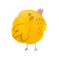 Cute yellow chicken on a white background.