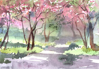 Watercolor illustration of blooming trees in park. Cercis, Judas-tree. Spring, pink blossom, green grass. Beautiful landscape for postcards. Traditional painting.