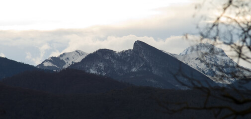 Nez de Napol&eacute;on