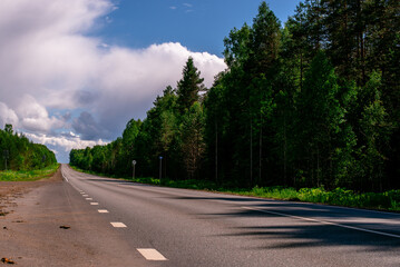 Fototapeta premium An asphalted intercity road with white markings extending into the distance through a green forest.