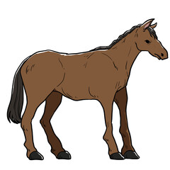 Simple illustration design of horse