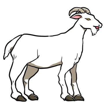 Simple illustration design of goat