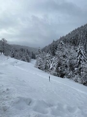 Fußspuren im Schnee im Sankenbachtal im Schwarzwald bei Baiersbronn