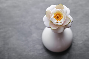 Single beautiful bud of white lotus flower or water lily in vase, top view. Shallow  depth of field. 