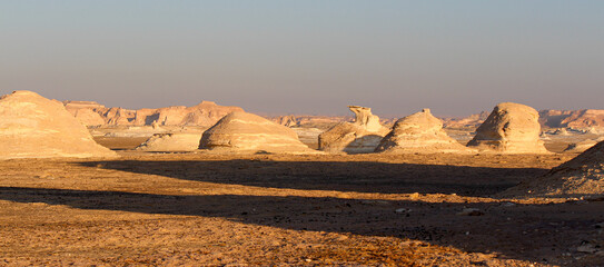 Fototapeta na wymiar Bizarre sandstone formations in the white desert, early morning, Farafra, Egypt