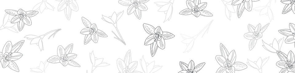 snowdrop line template vector background