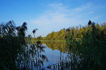 Nice view of the lake in autumn in sunny weather.