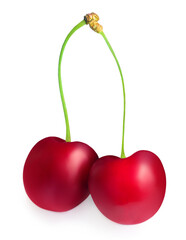 Two  Cherries isolated on white background.  Cherry berries close-up, studio shot.