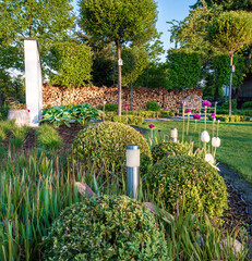 Bukszpanw ogrodzie wiosennym  - obrazy, fototapety, plakaty