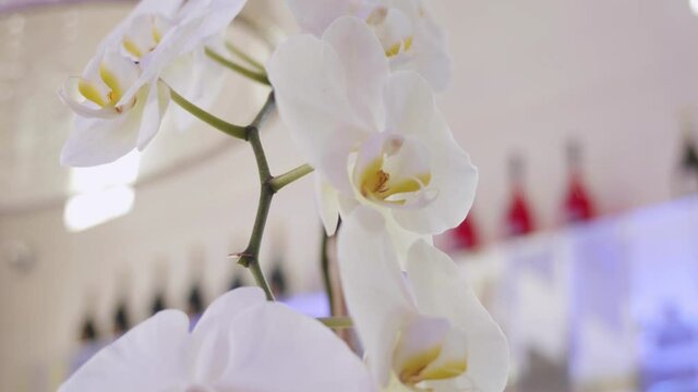 White flowers on a wedding event.
