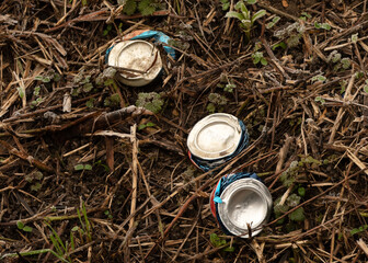 Rubbish on the edge of a fen land dyke, consisting of three crushed pop cans.