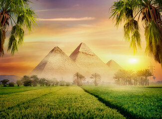 Pyramids in green field