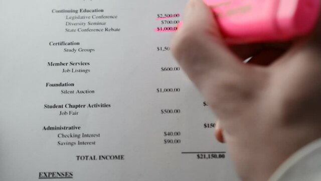 The auditor checks the financial statements and highlights the data with a pink marker front view