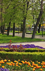 Park magistral in Novorossiysk. Krasnodar region. Russia