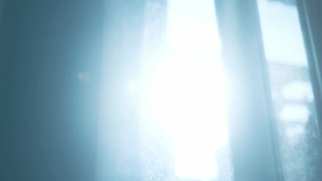 The light from the window on the wall.