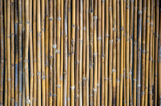Bamboo wall.