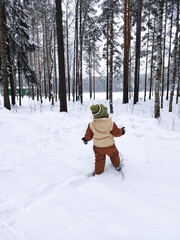 A small child stands in a winter snow forest in the middle of tall trees. A walk through the forest.