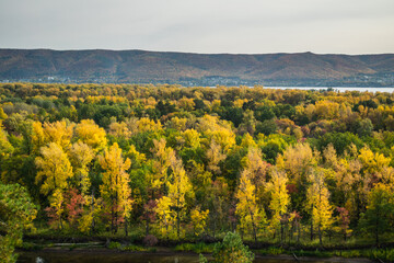Aerial landscape view over colorful green and orange autumn forest in countryside in Samara region, Russia