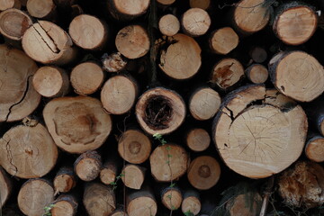 stack of firewood