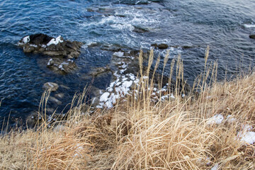 Withered grass on a rock above the sea