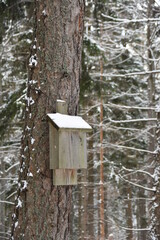 Nistkasten im Winter