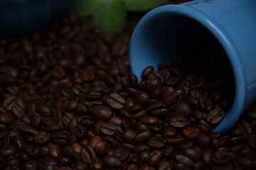 Coffee beans pouring out of a blue cup Roasted Arabica grain coffee background