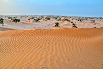 View of the Sahara desert in Morocco