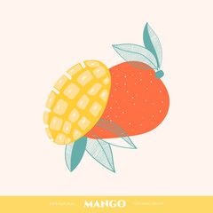 Vector doodle mango. Hand drawn illustrations.