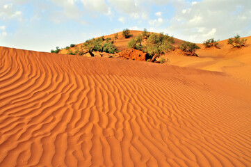 Fototapeta na wymiar View of the Sahara desert in Morocco