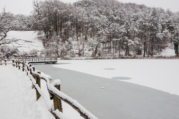 Arlesheim, Ermitage, Holzsteg, See, Winter, Schnee, Schneefall, Schneedecke, Wanderweg,...