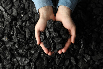 Man holding coal in hands over pile, top view - obrazy, fototapety, plakaty