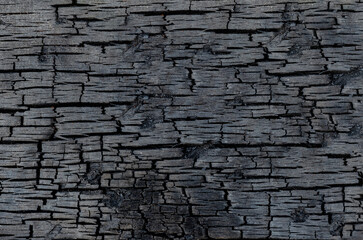 Burned wood texture background. Black burnt wood surface