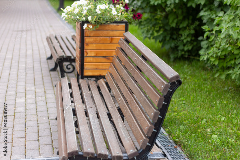 Wall mural wooden benches in the park line the sidewalk.