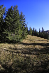 Tatra Mountains Olczyska Valley in Autumn