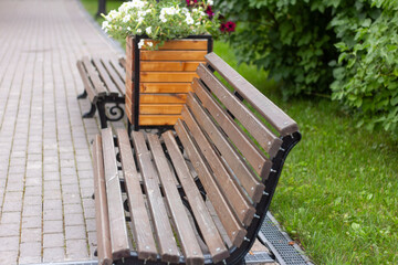 Fototapeta premium Wooden benches in the park line the sidewalk.