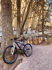 Fototapeta premium bicycles in the park