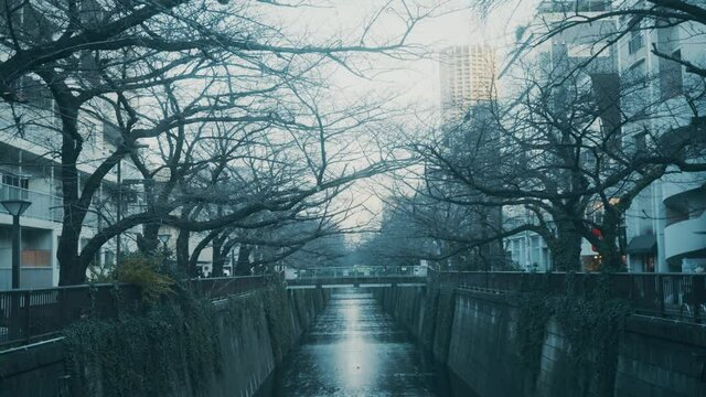 River in Nakameguro, Meguro River, Tokyo, Japan in winter.