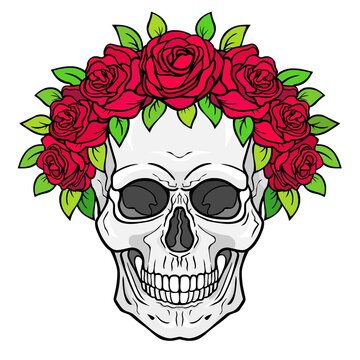 Mystical drawing:  human skull in a crown of roses. Magic, esoteric, occultism. Vector illustration isolated on white background. Print, poster, T-shirt, card. 