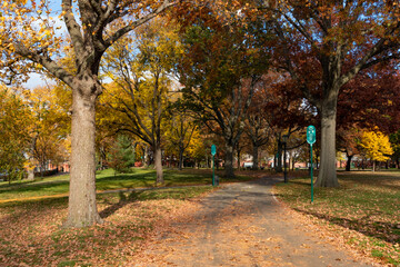 Empty Trail at Queensbridge Park in Long Island City Queens New York during Autumn with Colorful Trees