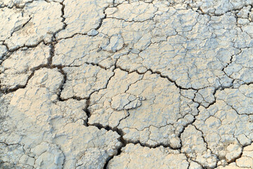 Cracks in the dried earth.