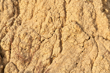 Texture barren earth light brown rock.
