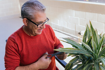 Man in his 50s doing gardening work. He is manually pruning a green plant with scissors. He has gray hair and wears glasses.