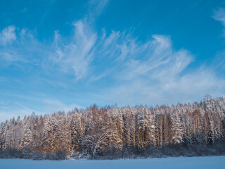 Snow-covered meadows and forest in the valley of the Stone Hill park on a frosty winter day. Beautiful landscape with conifer forest on snowy cloudy day. Frozen nature in fantastic white forest.