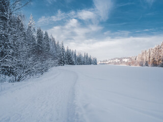 Snowy road and conifer forest on a frosty sunny evening. Winter country road with fir forest in the rays of cold winter Sun.