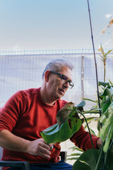 Man in his 50s doing gardening work. He is manually pruning a green plant with scissors. He has gray hair and wears glasses.