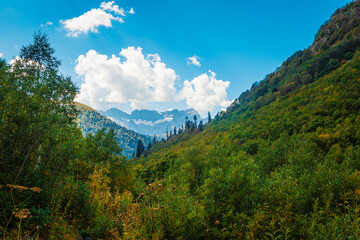 Fototapeta premium landscape with sky