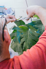 Man in his 50s doing gardening work. He is manually pruning a green plant with scissors. He has gray hair and wears glasses.