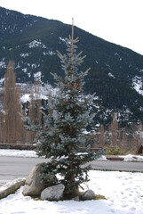 Paisaje de montaña 